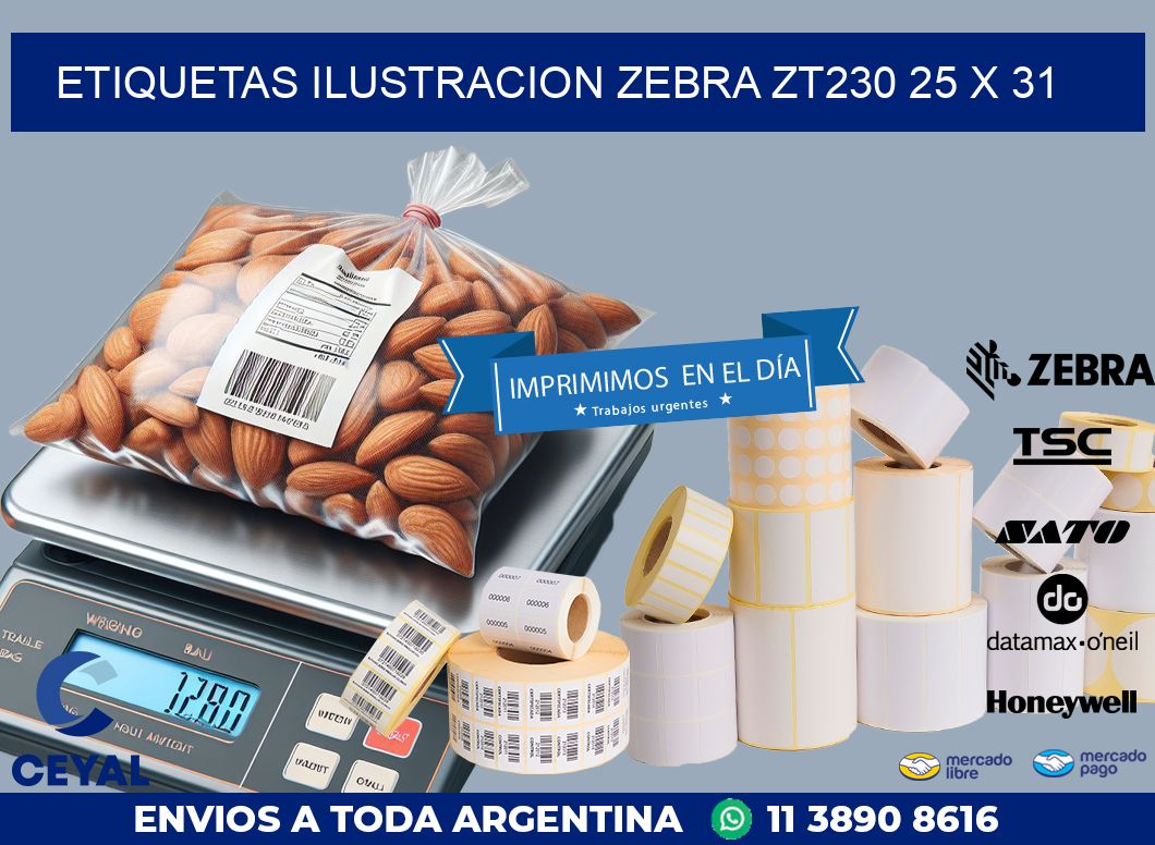 ETIQUETAS ILUSTRACION ZEBRA ZT230 25 x 31