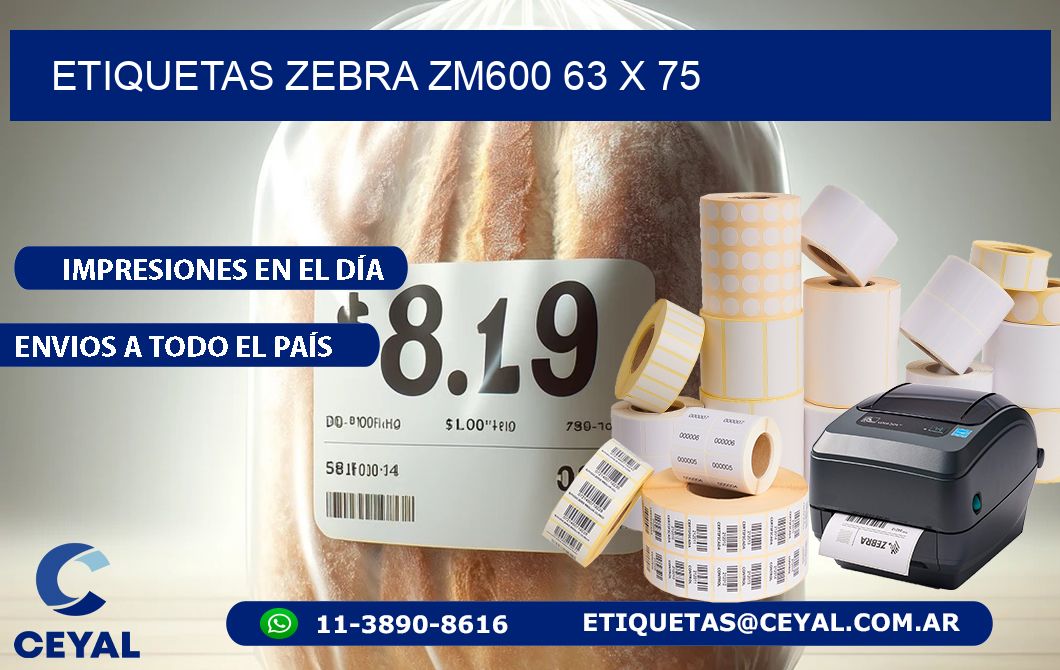 ETIQUETAS Zebra ZM600 63 x 75