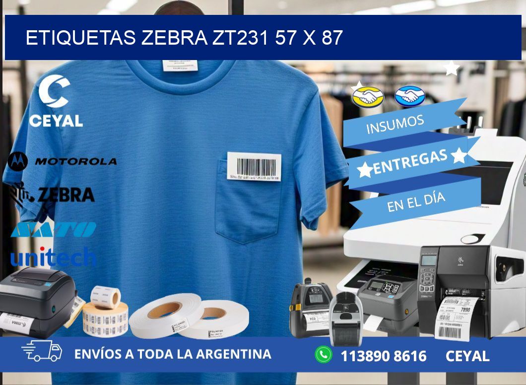 ETIQUETAS Zebra ZT231 57 x 87