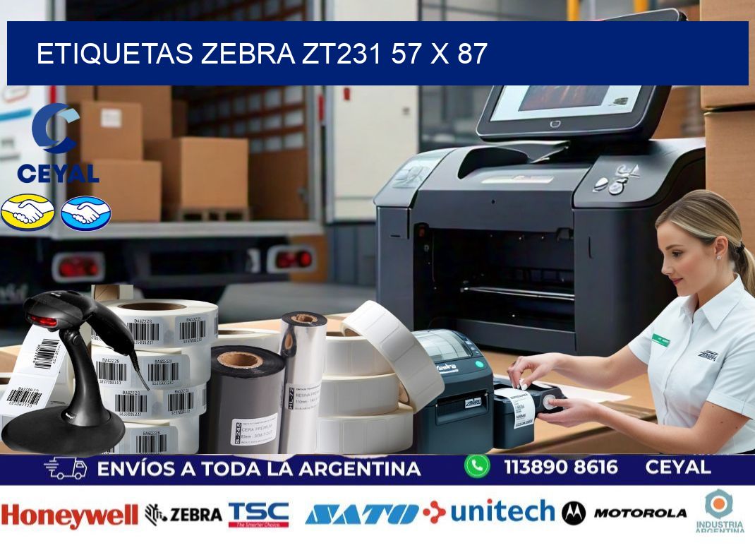 ETIQUETAS Zebra ZT231 57 x 87