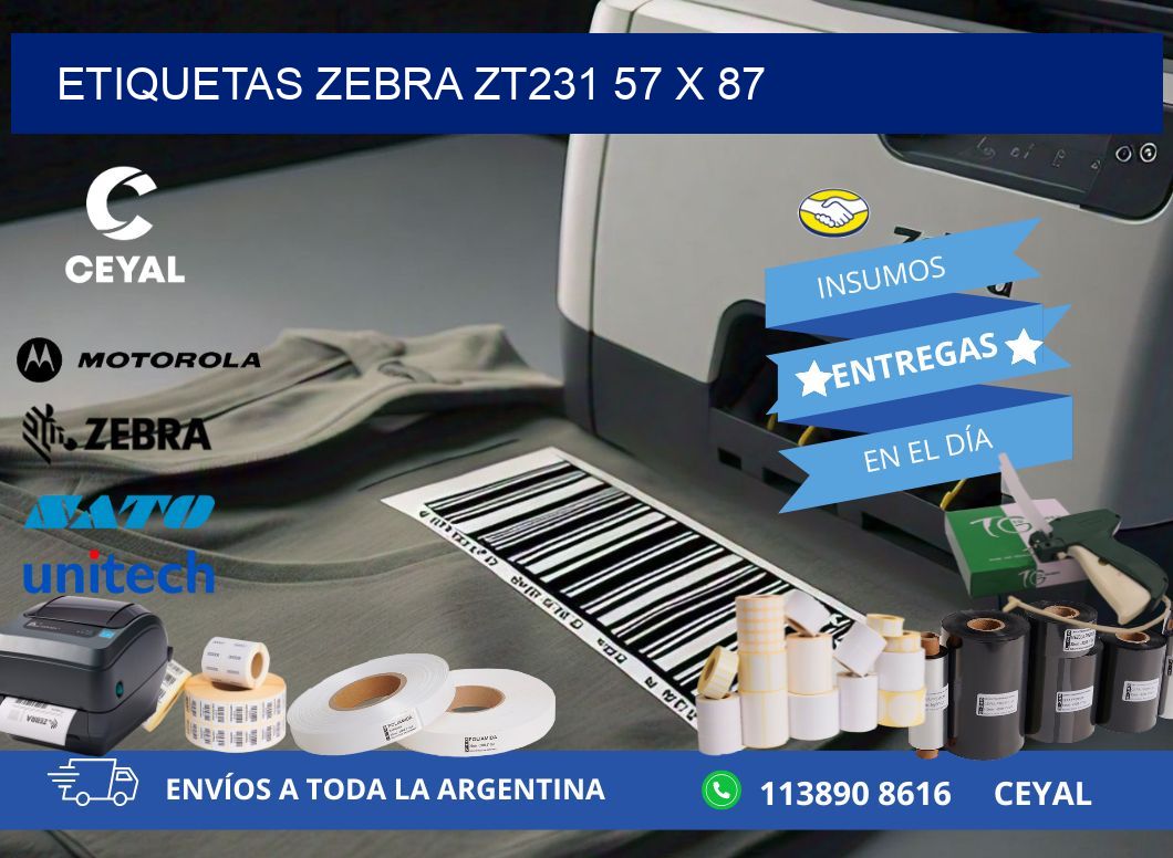 ETIQUETAS Zebra ZT231 57 x 87