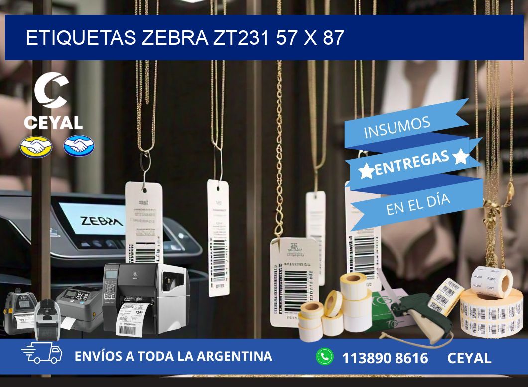 ETIQUETAS Zebra ZT231 57 x 87