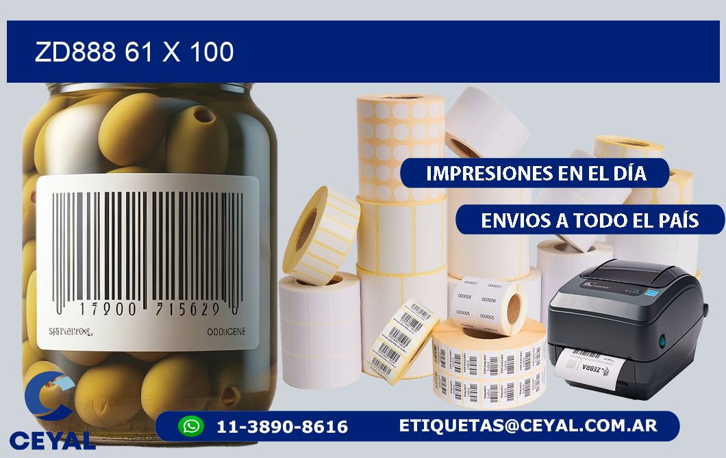 ZD888 61 x 100