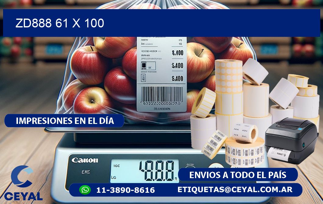 ZD888 61 x 100