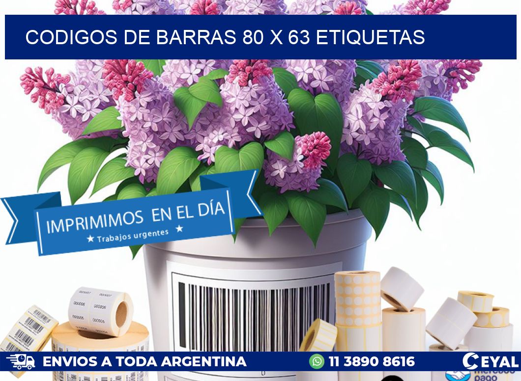 codigos de barras 80 x 63 etiquetas