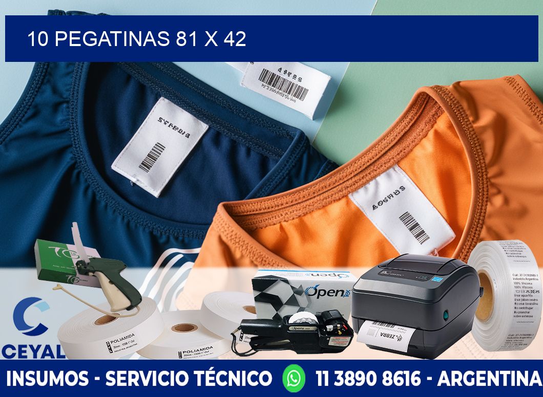 10 PEGATINAS 81 x 42