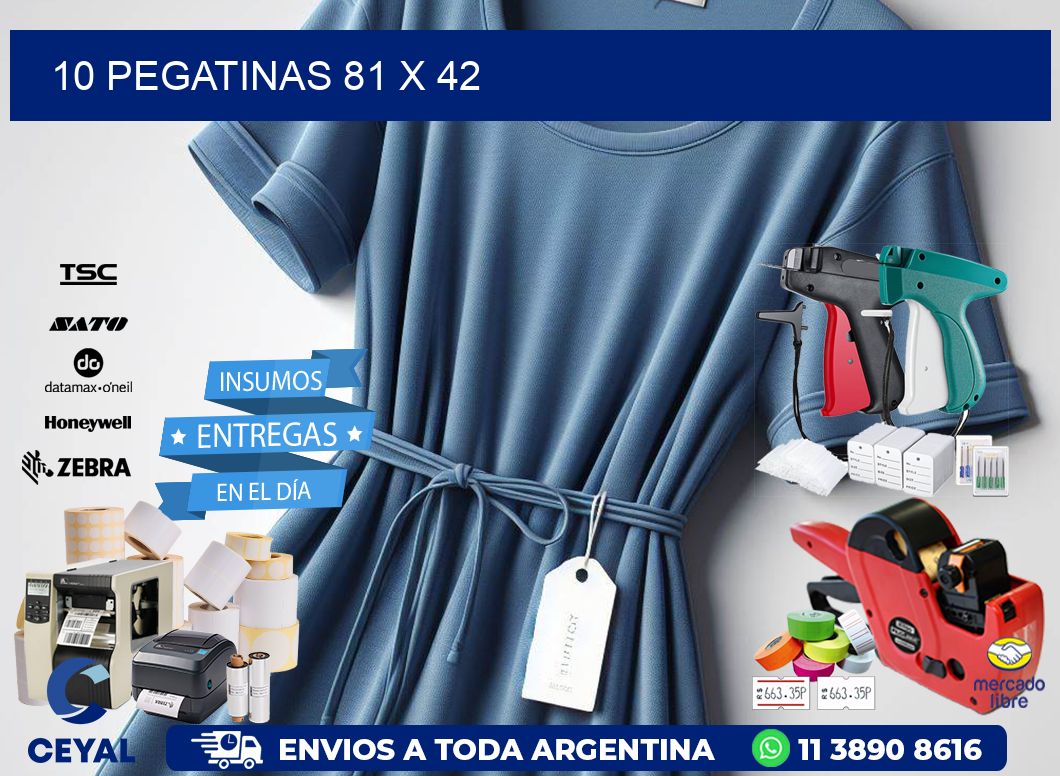 10 PEGATINAS 81 x 42