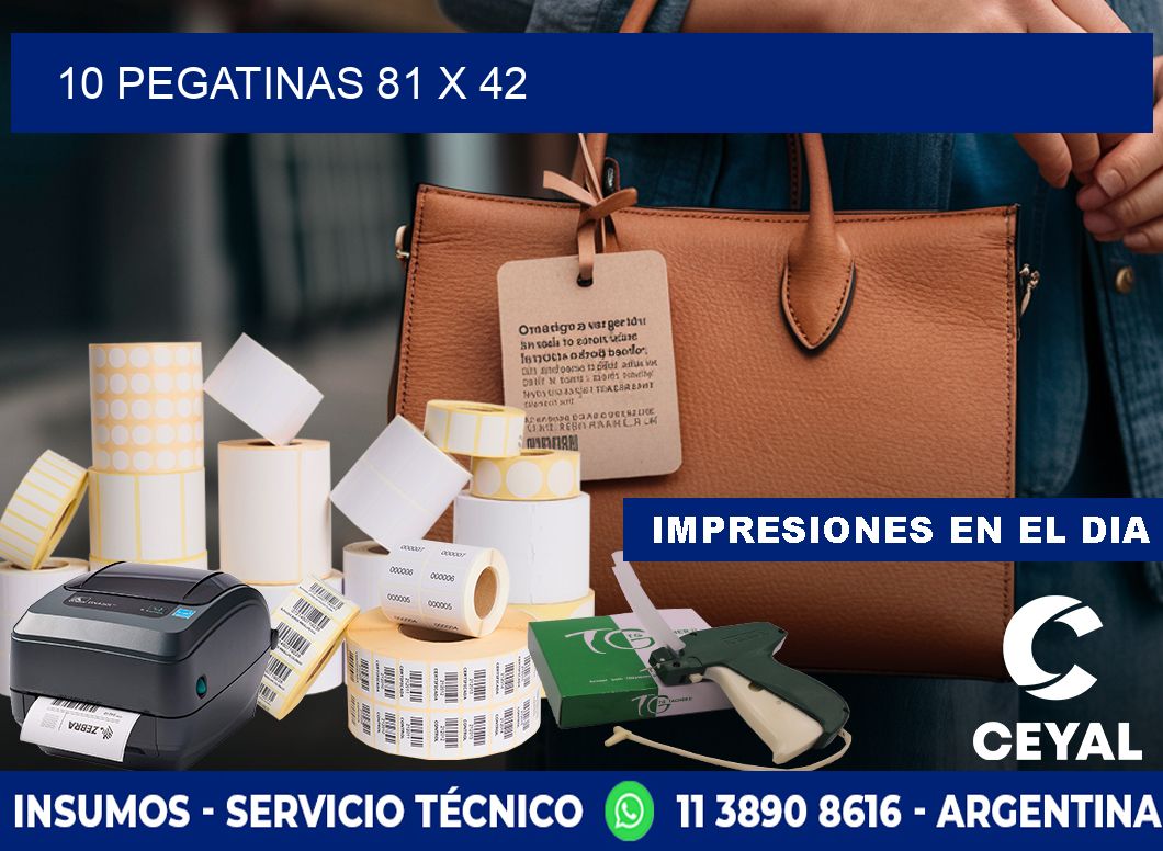 10 PEGATINAS 81 x 42