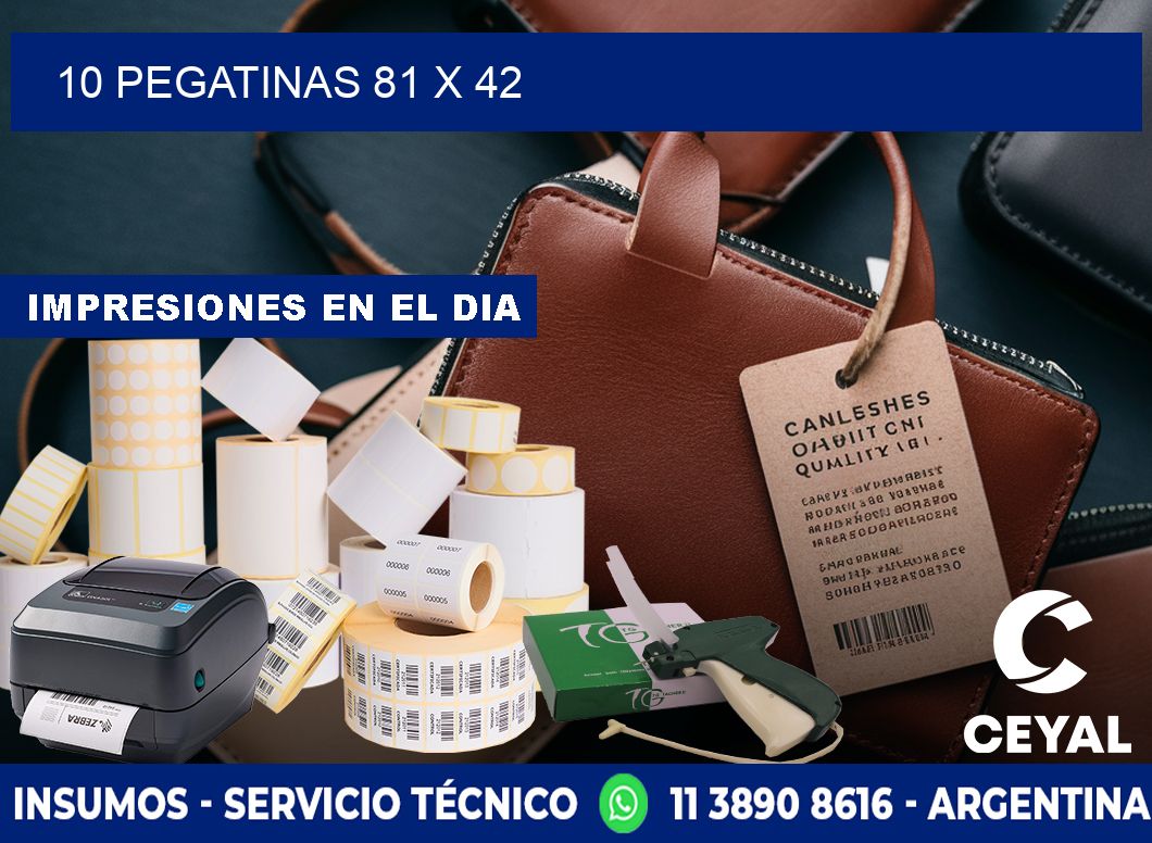 10 PEGATINAS 81 x 42