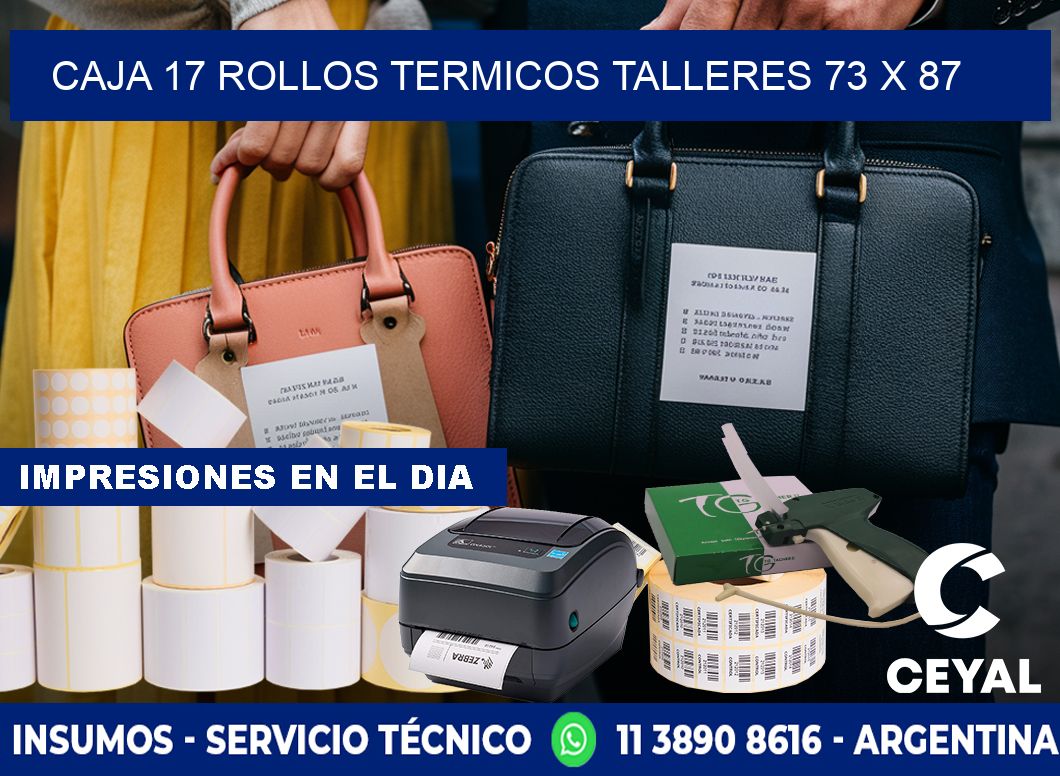 CAJA 17 ROLLOS TERMICOS TALLERES 73 x 87