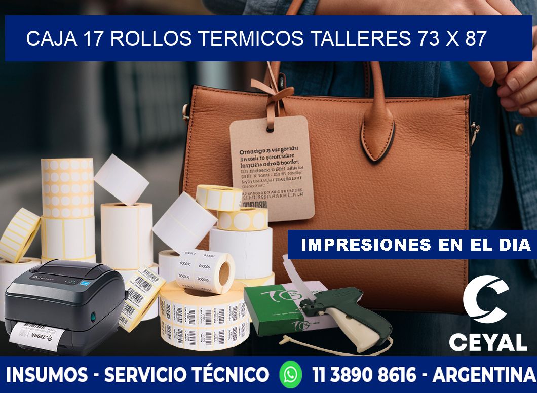 CAJA 17 ROLLOS TERMICOS TALLERES 73 x 87