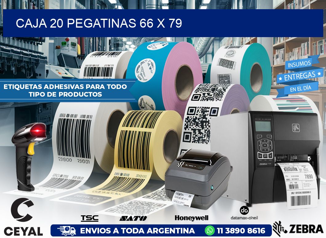 CAJA 20 PEGATINAS 66 x 79