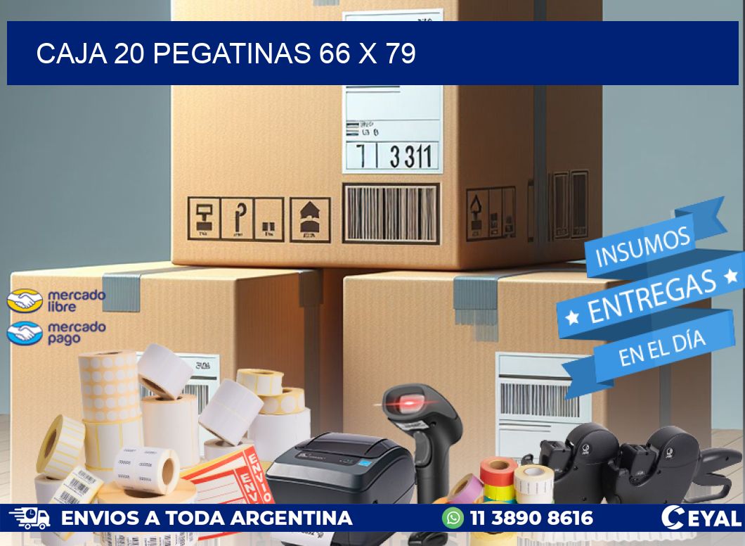 CAJA 20 PEGATINAS 66 x 79