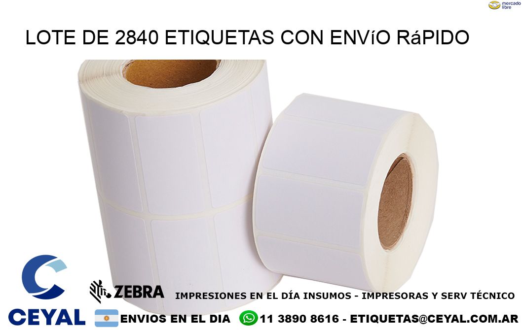 Lote de 2840 etiquetas con envío rápido