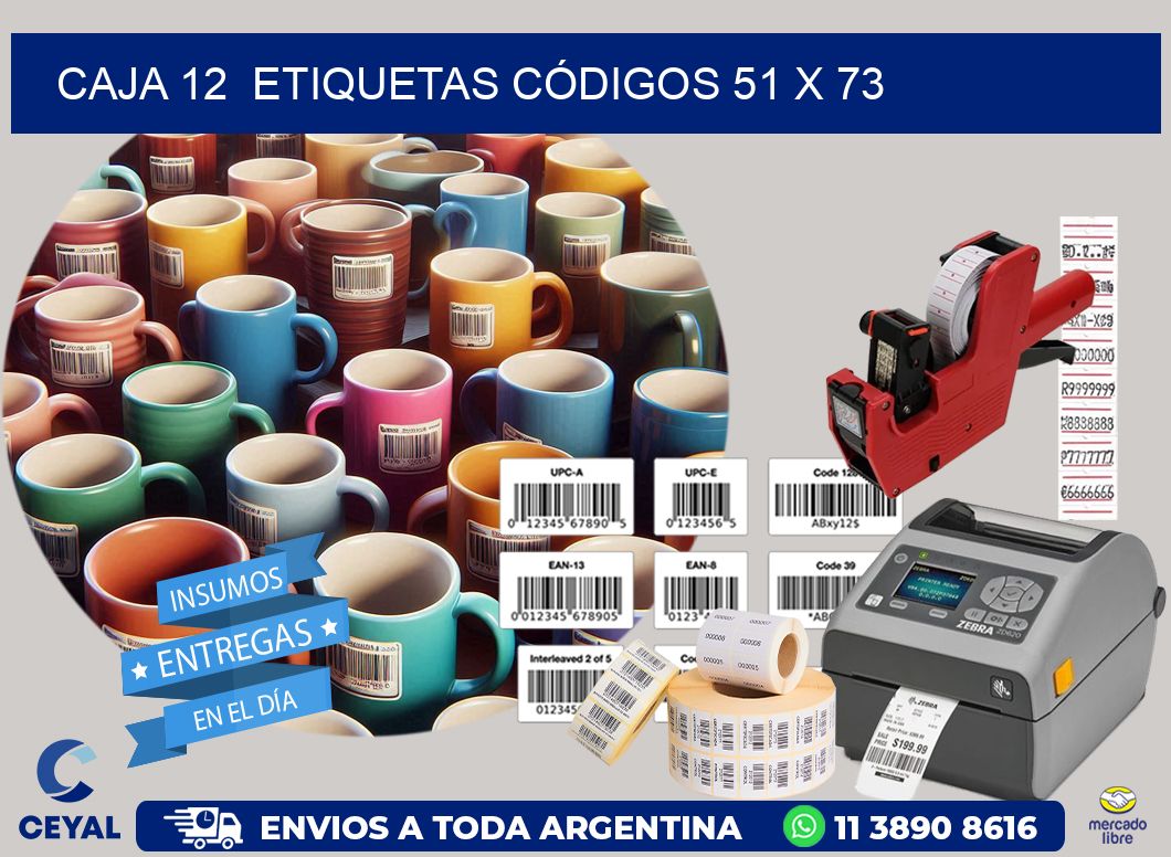 CAJA 12  ETIQUETAS CÓDIGOS 51 x 73