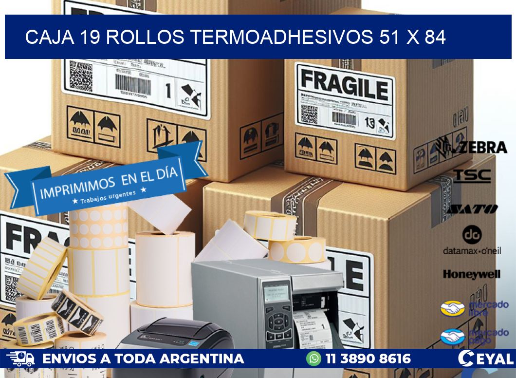 CAJA 19 ROLLOS TERMOADHESIVOS 51 x 84