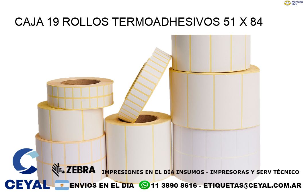 CAJA 19 ROLLOS TERMOADHESIVOS 51 x 84