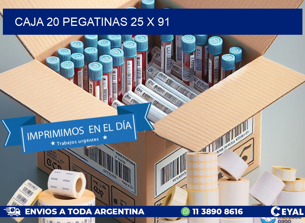 CAJA 20 PEGATINAS 25 x 91