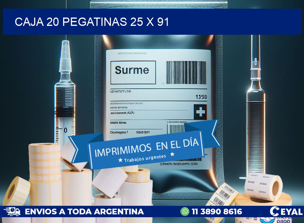 CAJA 20 PEGATINAS 25 x 91