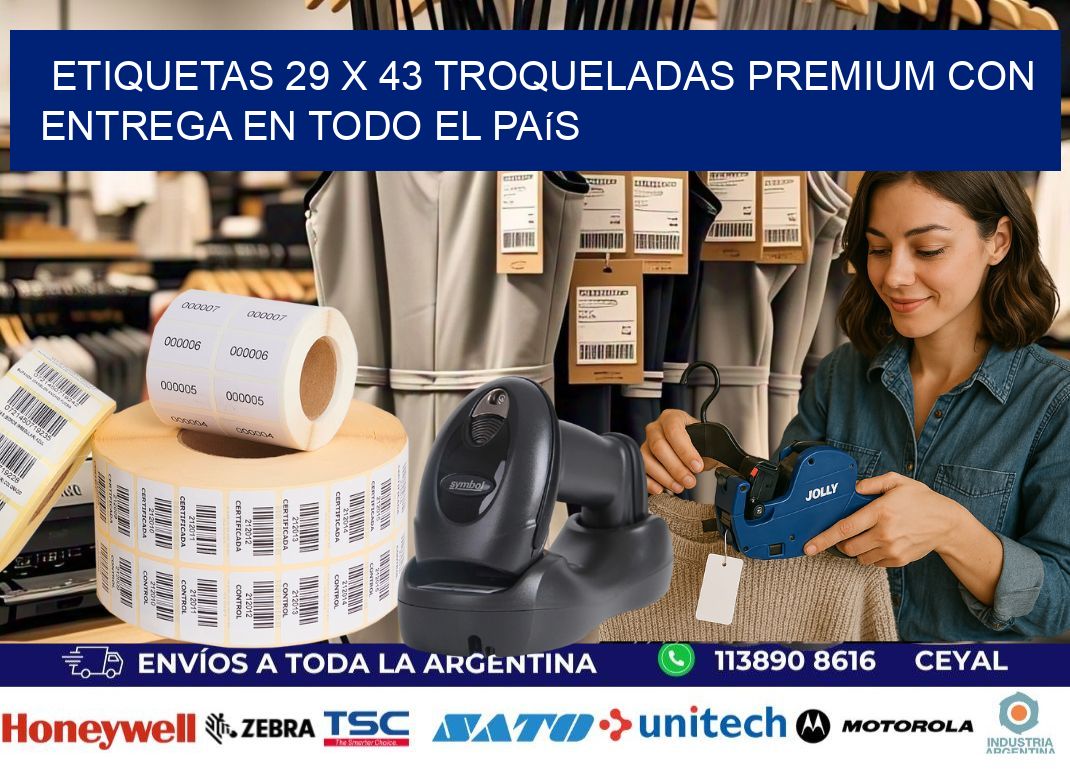 Etiquetas 29 x 43 troqueladas premium con entrega en todo el país