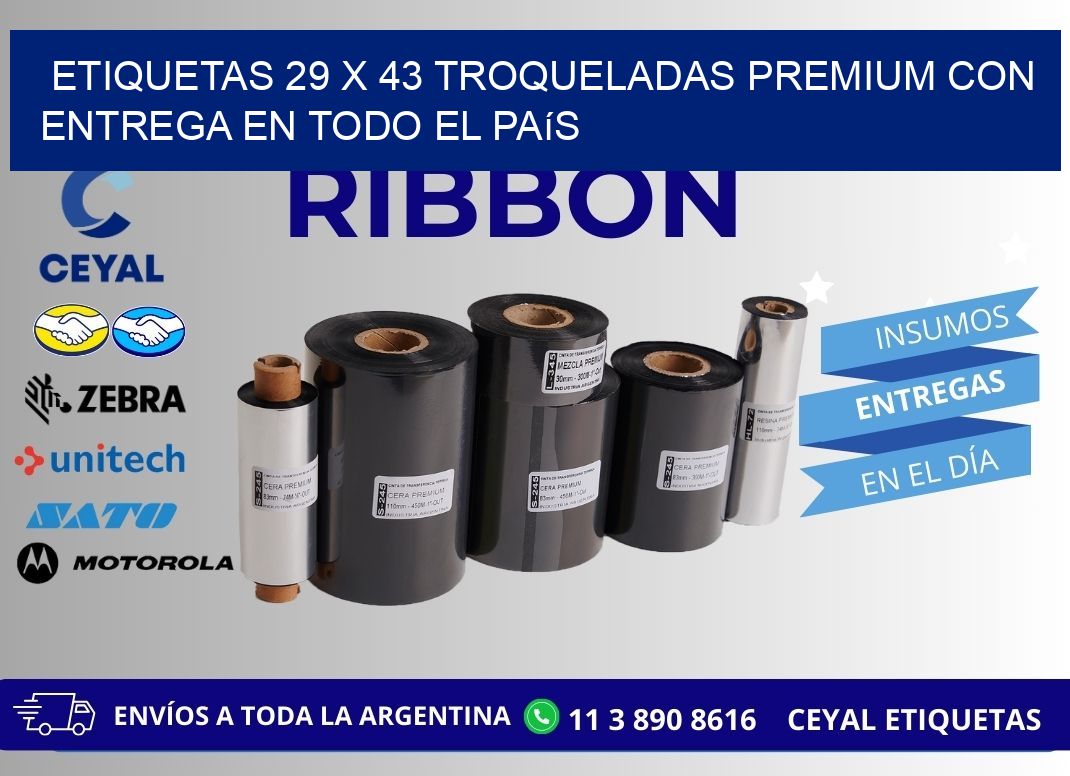 Etiquetas 29 x 43 troqueladas premium con entrega en todo el país