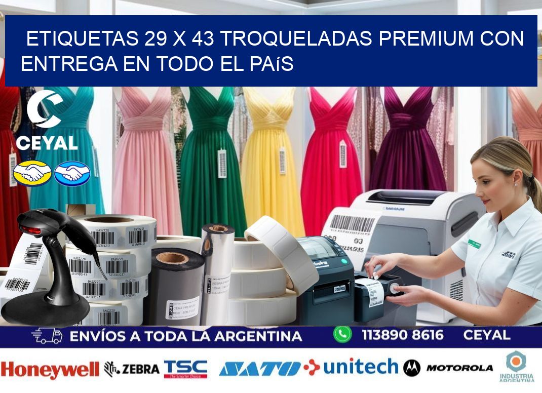 Etiquetas 29 x 43 troqueladas premium con entrega en todo el país