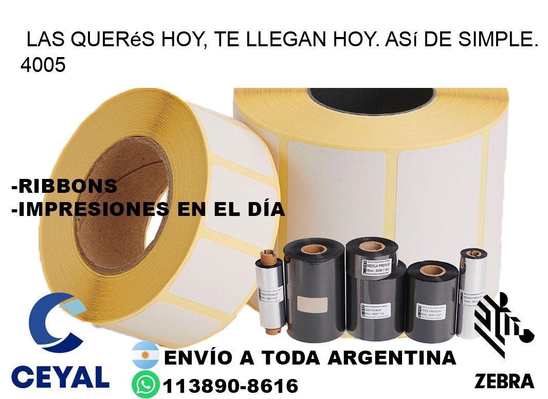 Las Querés Hoy, Te Llegan Hoy. Así de Simple. 4005