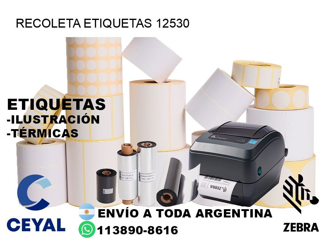 Recoleta etiquetas 12530