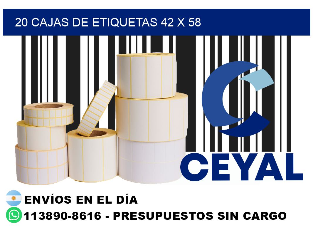 20 cajas de etiquetas 42 x 58