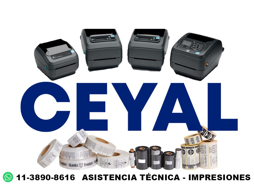 62240 ZT231 manual PDF