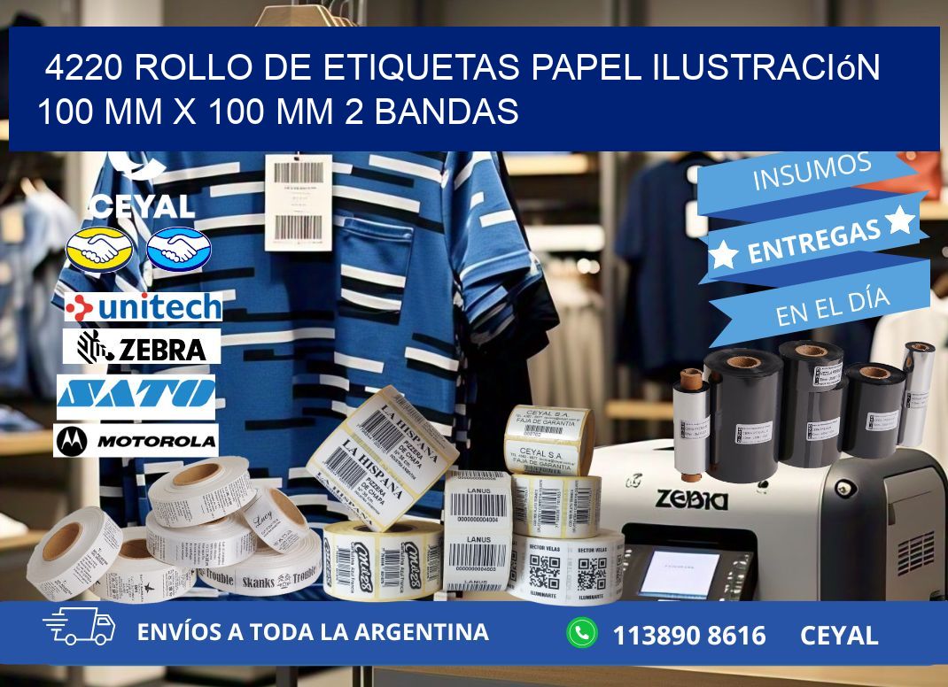 4220 Rollo de Etiquetas Papel Ilustración 100 mm x 100 mm 2 Bandas