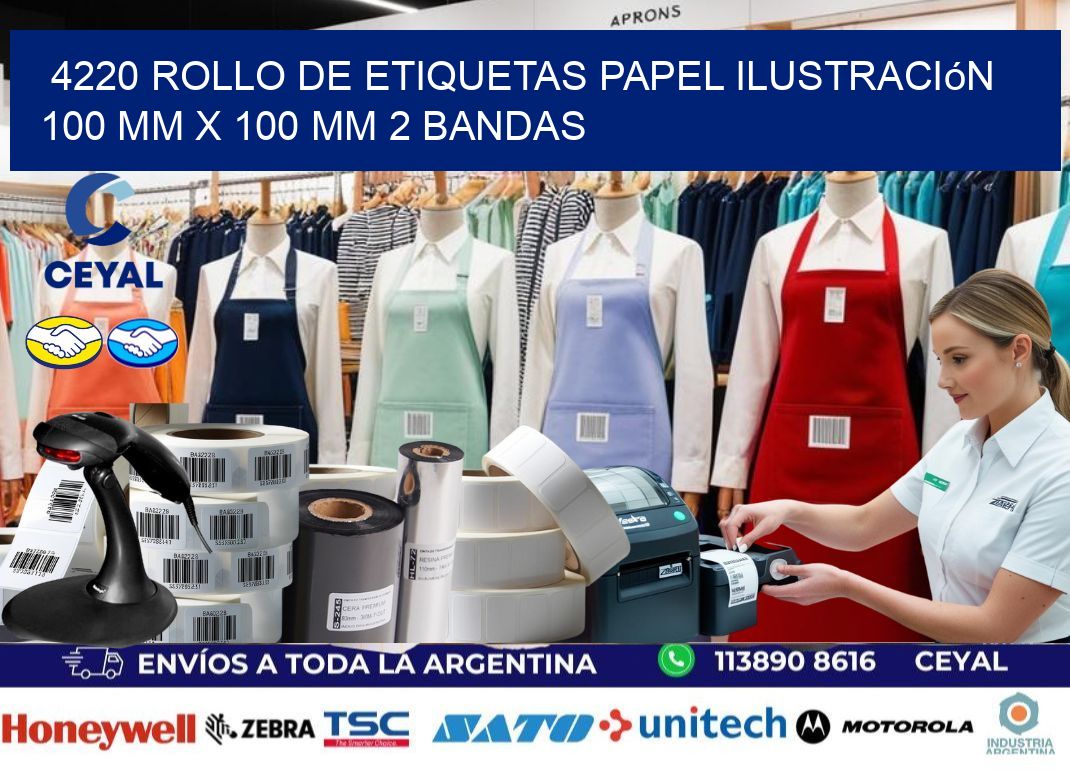 4220 Rollo de Etiquetas Papel Ilustración 100 mm x 100 mm 2 Bandas
