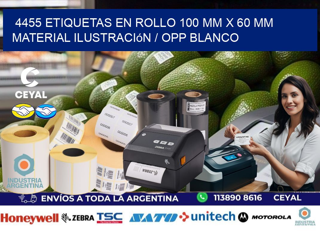 4455 Etiquetas en rollo 100 mm x 60 mm material Ilustración / OPP Blanco