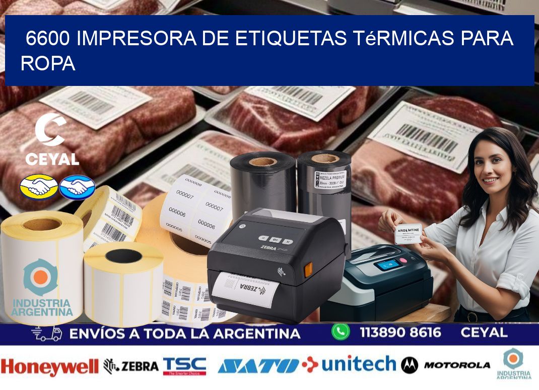 6600 impresora de etiquetas térmicas para ropa