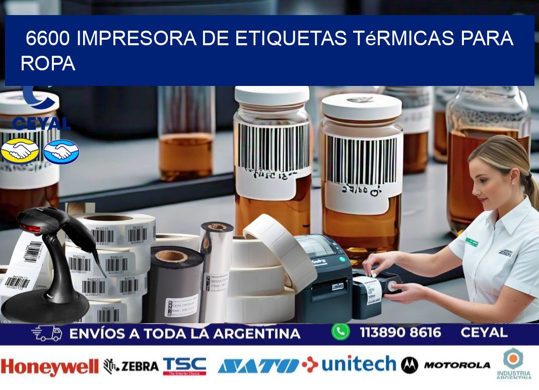 6600 impresora de etiquetas térmicas para ropa