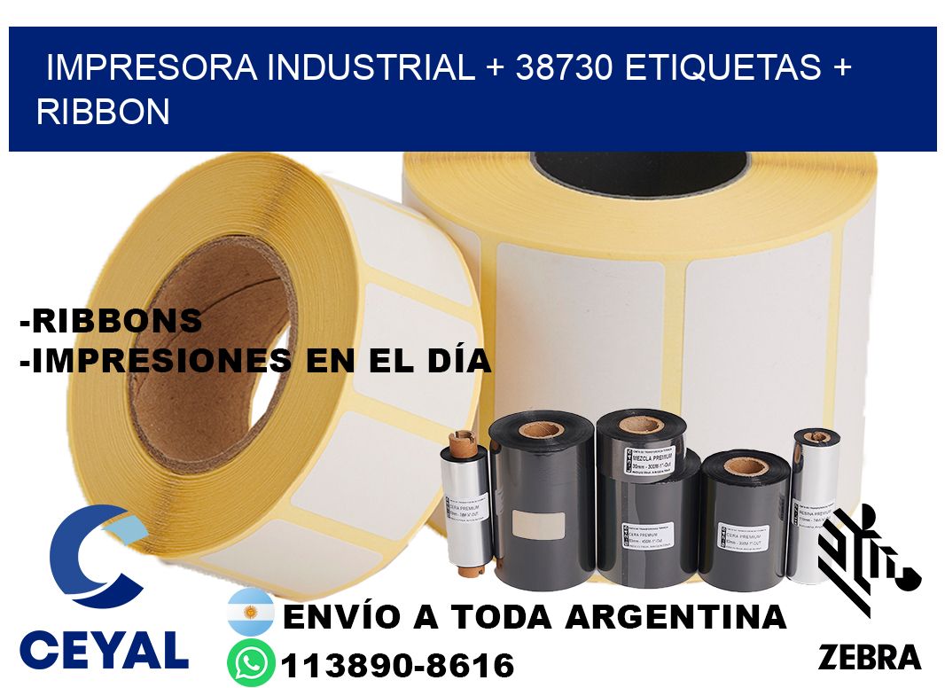 impresora industrial + 38730 etiquetas + ribbon