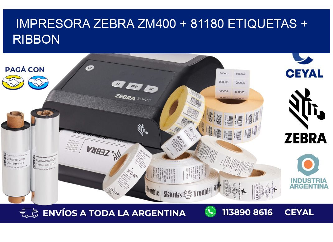 impresora zebra zm400 + 81180 etiquetas + ribbon