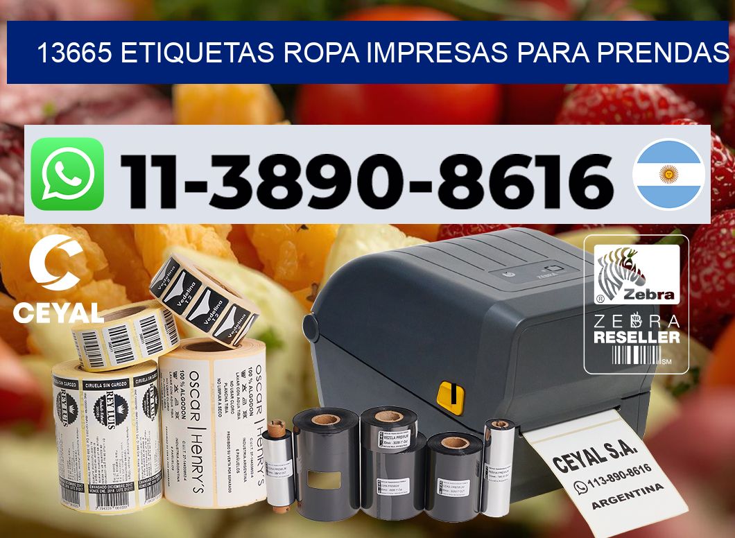 13665 Etiquetas ropa impresas para prendas