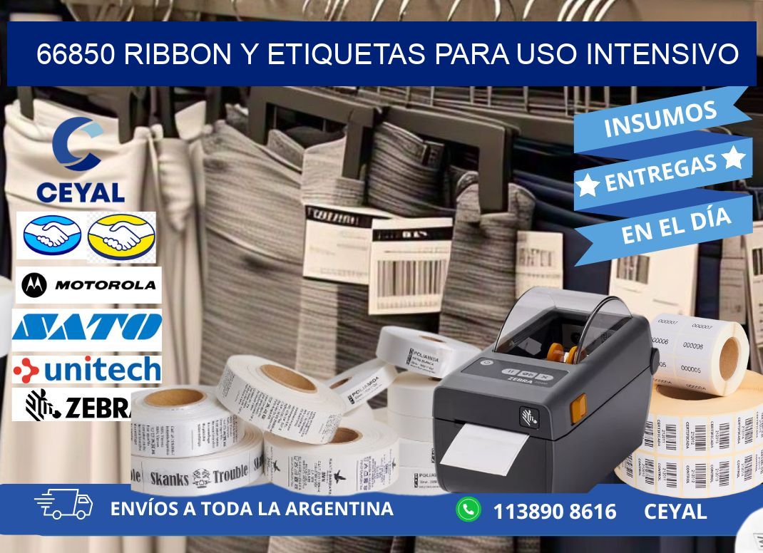 66850 ribbon y etiquetas para uso intensivo