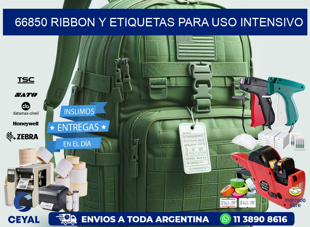 66850 ribbon y etiquetas para uso intensivo