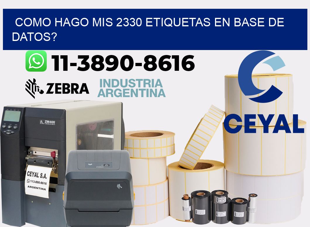 como hago mis 2330 etiquetas en base de datos?