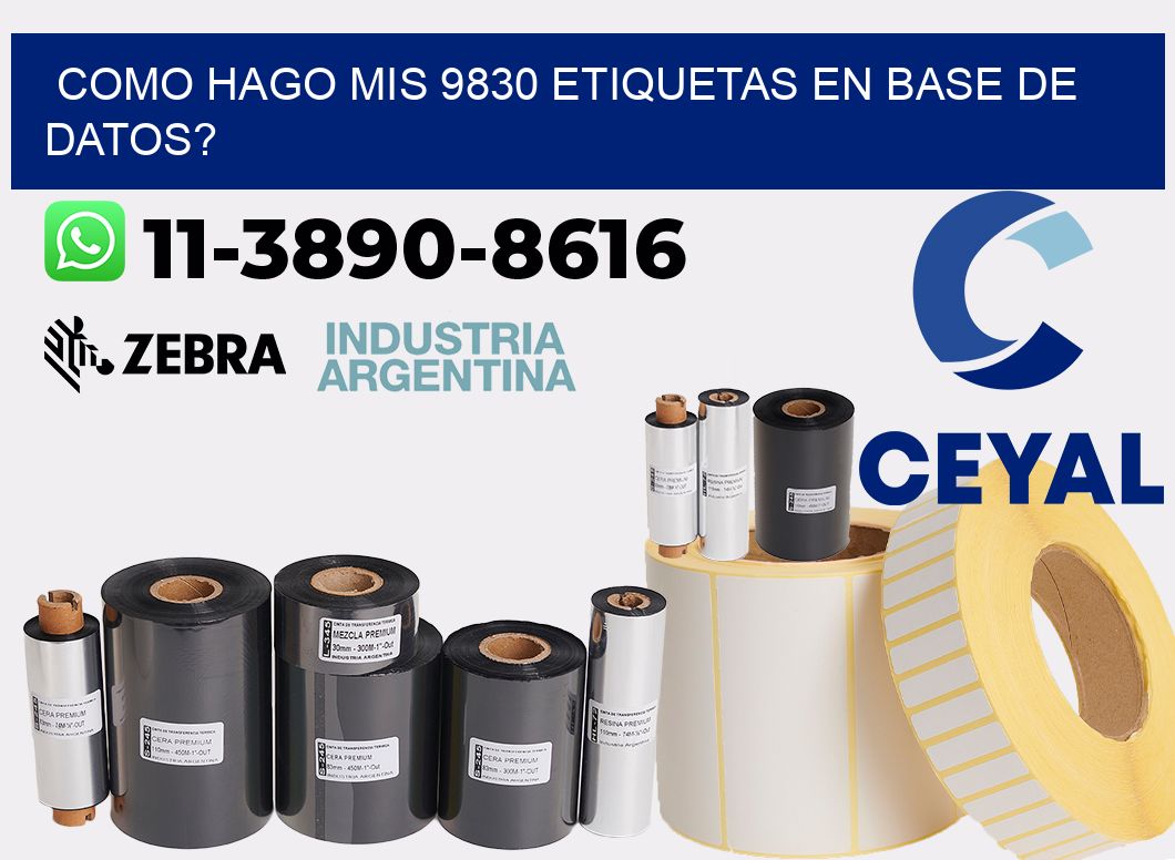 como hago mis 9830 etiquetas en base de datos?