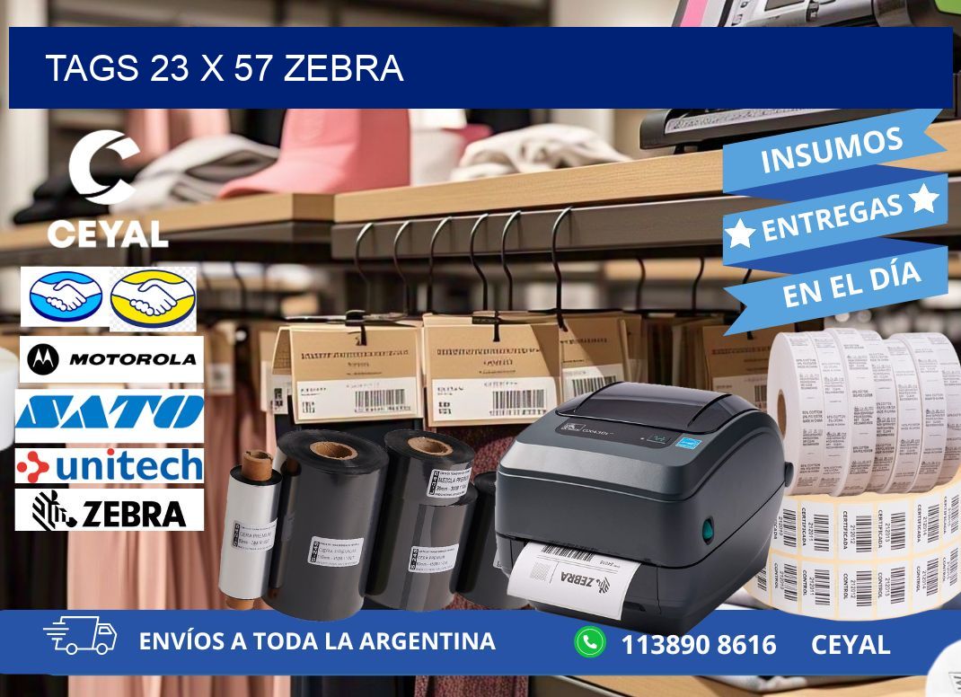 tags 23 x 57 zebra