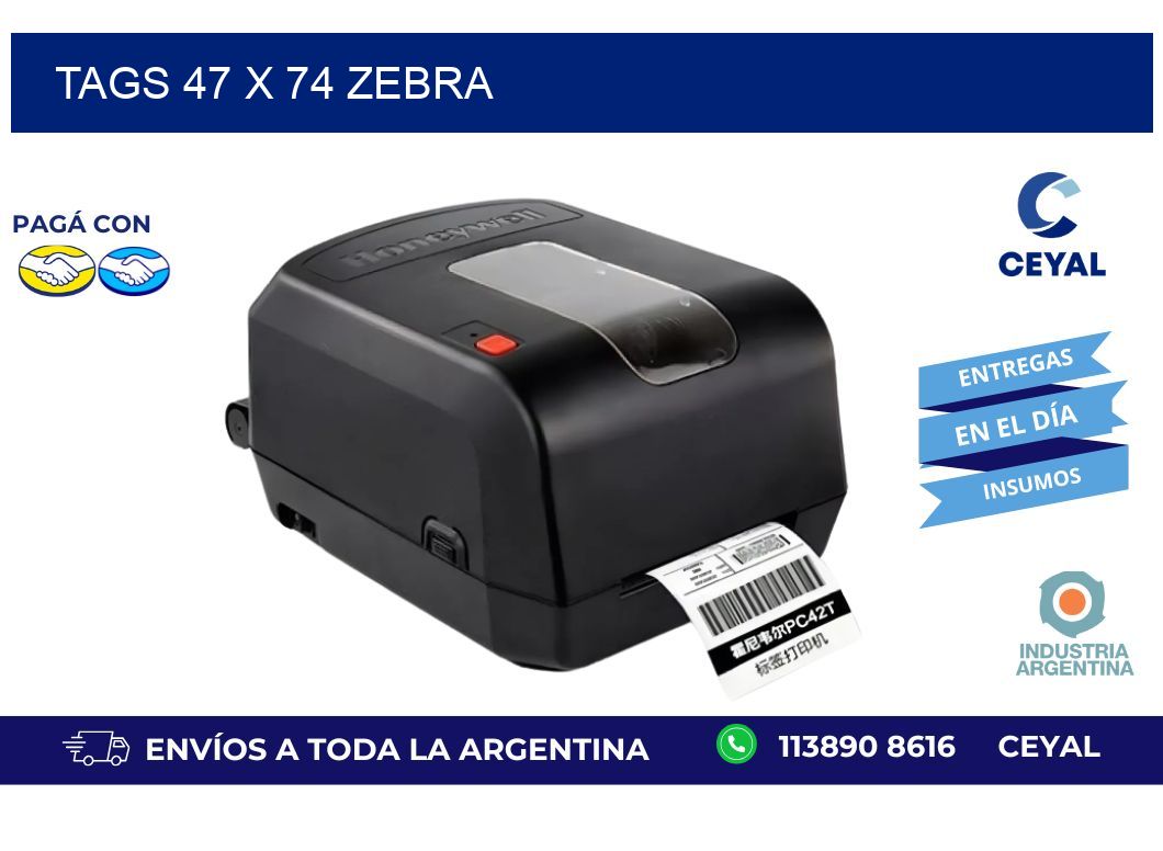 tags 47 x 74 zebra