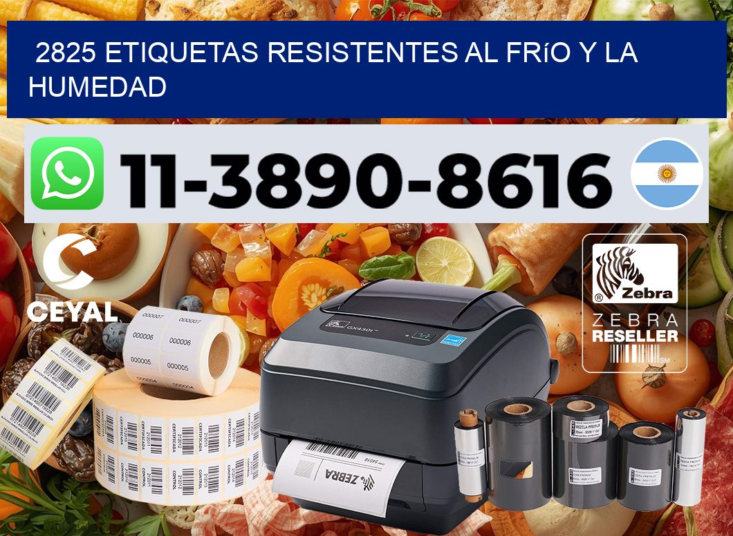 2825 Etiquetas resistentes al frío y la humedad