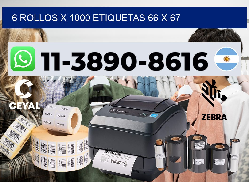 6 rollos x 1000 etiquetas 66 x 67
