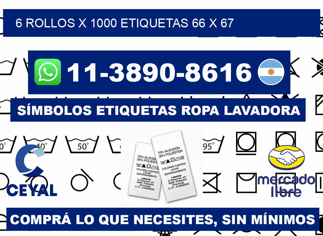 6 rollos x 1000 etiquetas 66 x 67