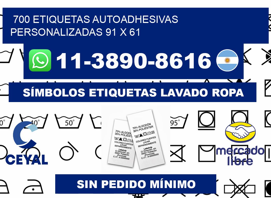 700 Etiquetas autoadhesivas personalizadas 91 x 61