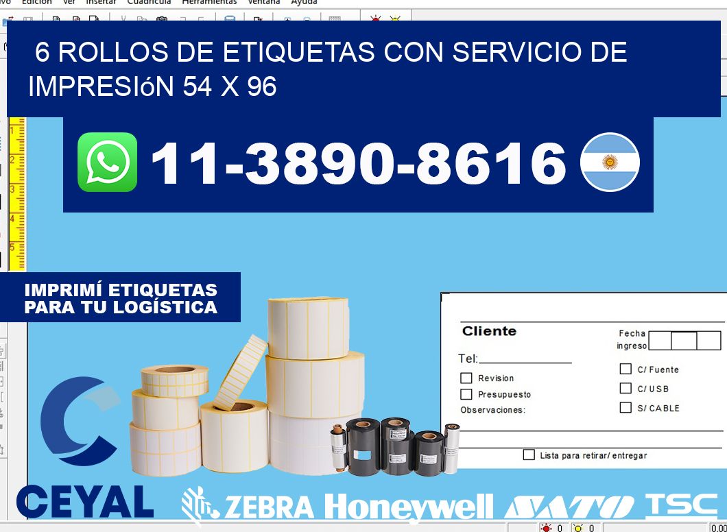 6 rollos de etiquetas con servicio de impresión 54 x 96
