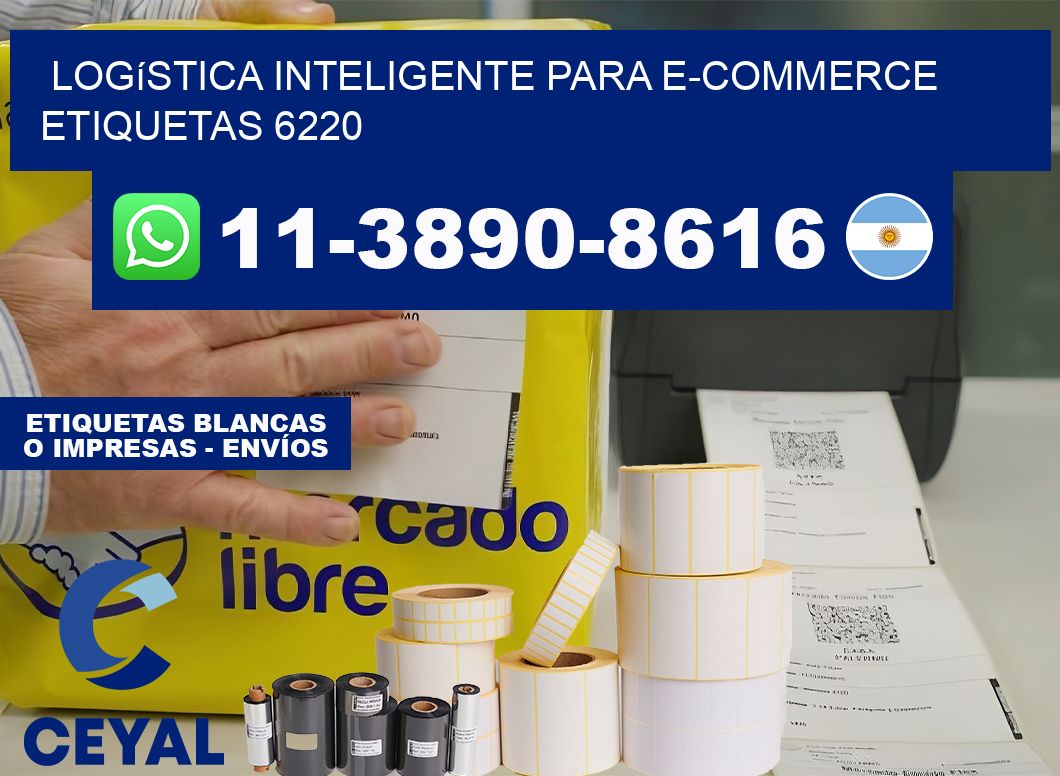 Logística inteligente para e-commerce  etiquetas 6220